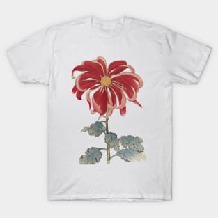 Hagasawa Flowers 2 T-Shirt